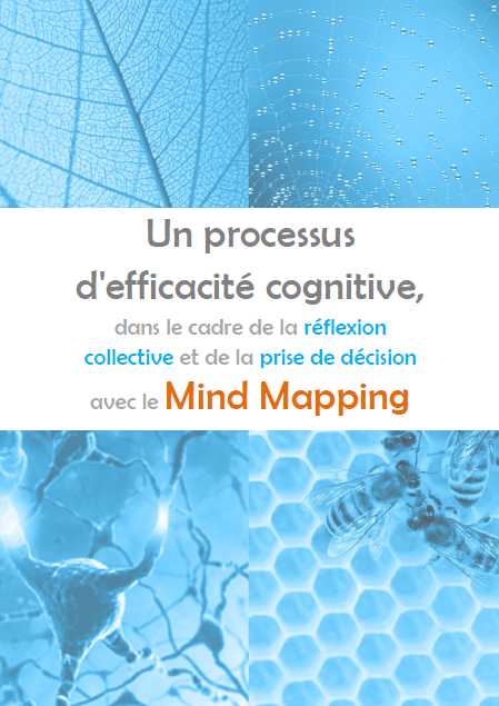 un-processus-defficacié-cognitive-avec-le-mind-mapping1