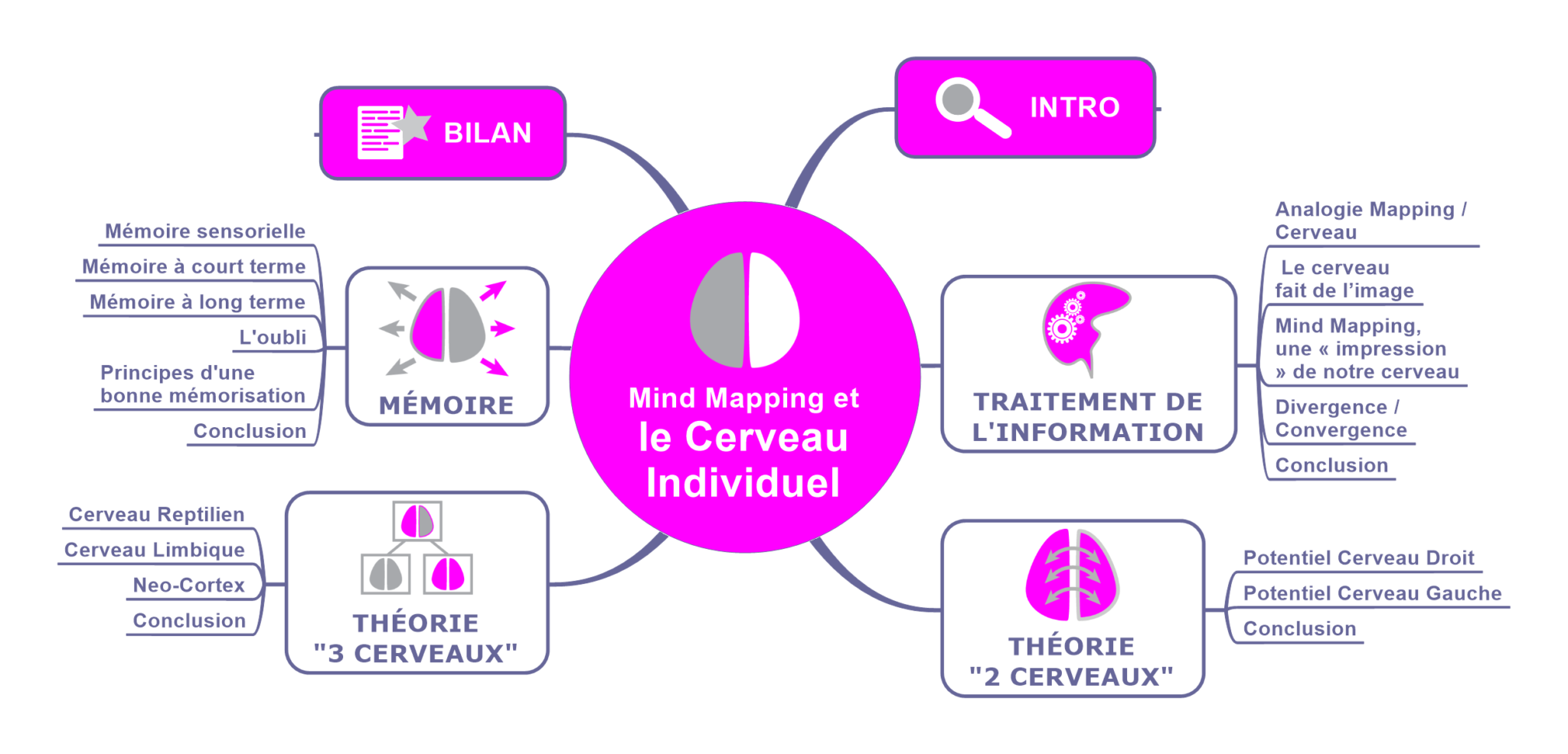 Ebook Mind mapping et cerveau individuel