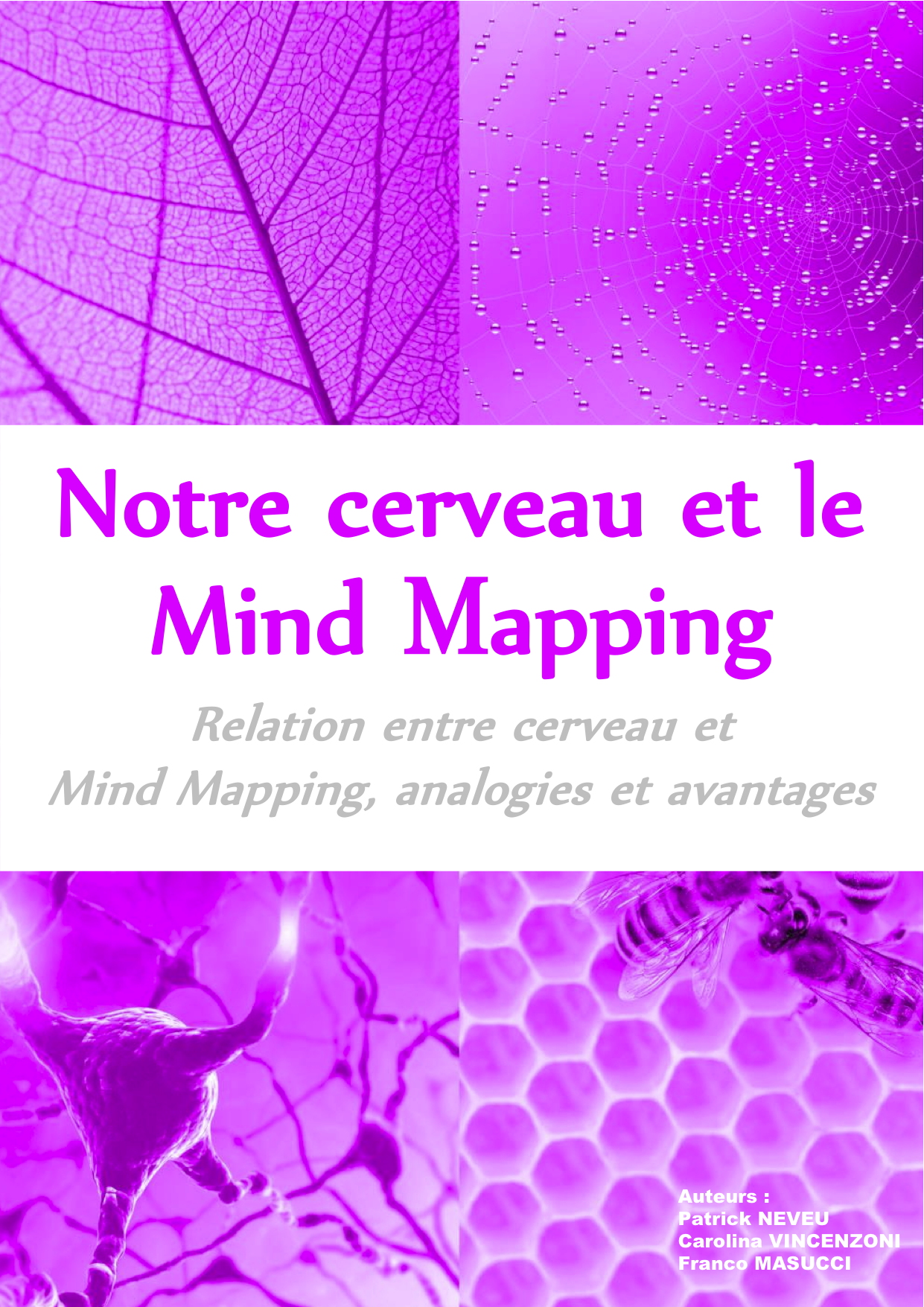 Ebook-Mind-mapping-et-cerveau-individuel