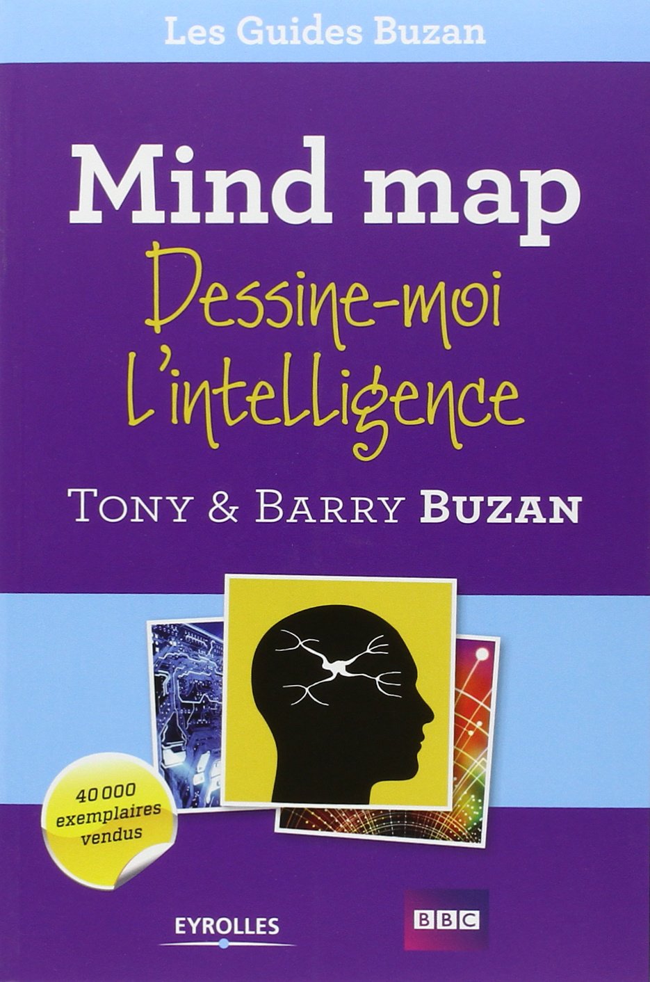 mind-map-dessine-moi-lintelligence