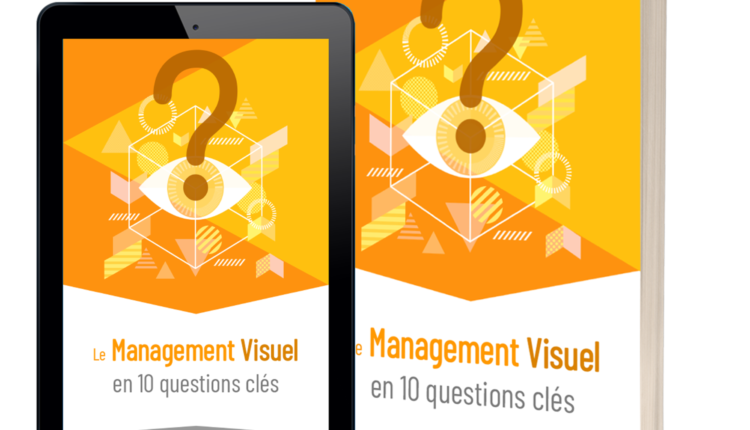 couverture-Le-management-Visuel-en-10-questions-clés