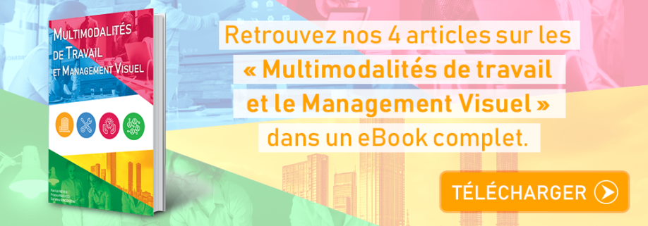 eBook Multimodalités de Travail et Management Visuel
